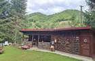 Cabana Old Shepherd de inchiriat - 5