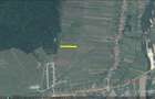 Teren, loc de casă, vânzare 3500 mp Cornesti-Bălești-Gorj, 2 euro mp