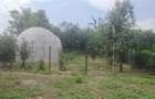 Particular casa la tara rustica 2100 mp, cu livada, solar legume si utilitati - la aproximativ 60 km de Bucuresti - 4