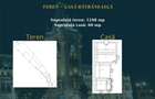 Teren intravilan - 1.248 mp + casa batraneasca 60 mp | Paun Barnova | - 2