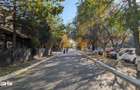 Teren 19.470 mp, investitie ideala, Green City -1 Decembrie, Ilfov