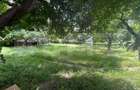 Teren intravilan, 232 mp, cartier Rovine - 1