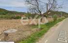 Teren intravilan 21.000 mp de vanzare Suseni, Comuna Bogati, Judet - 15