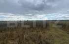 Teren extravilan, 2500 mp, zona Lucieni - 1