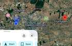 Vanzare teren Frumusani/Pasarea - Strada Albiei - 3