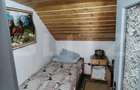 Cabana 5 camere Salard - 11