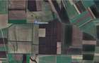 Teren extravilna Cota parte 1/16, CObadin, ID: R2782865 - 6