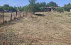 Teren 2.300 mp pe malul bal?ii + casa | Rasmire?ti, Teleorman | Dubla deschidere, curent, pu?, acte - 1