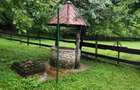 Evadare intr-un Paradis Privat: Proprietate Unica in Valenii de Munte - 8