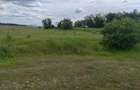 Teren extravilan, 114000 mp, Parc industrial West Park - 14