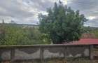 Vand casa Palilula, comuna Bucovat
