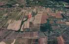 De vanzare teren agricol Ulileacu de Munte (Paleu)