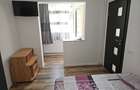 Apartament cu doua camere micut dar modern in Trivale - 9