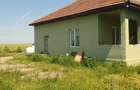 Casa de inchiriat/ Casa de vanzare - 2