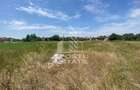 Teren constructii intravilan de vanzare Dragsina Timis 1000 mp - Dragsina (Timis)