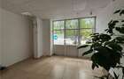 Spatiu de inchiriat,48 mp,stradal,sos Nicolina - 2