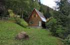 Teren cu cabana off-grid jud Harghita - 5