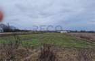 RECO Teren intravilan in Bors cu front mare - 4