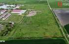 Teren intravilan cu suprafata de 58.340 mp, in Sanmartinul Sarbesc - 9