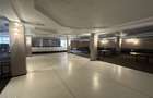 Teren 6000 mp (PUZ P+4) & Spatii Comerciale - Baia Mare