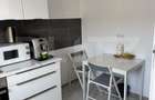 Studio cu terasa, 42 mp, Maurer Residence - 7