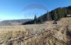 Teren 31,461mp Panaci / Prelungirea Ialovita