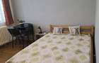Apartament 2 camere Manastur -zona complexului Big-exclusivitate - 8