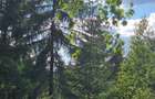 Vand teren intravilan in zona Belis, Calatele Padure sat vacanta 2