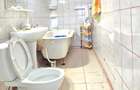 ULTRACENTRAL Apartament 2 camere în casa interbelica Filarmonica - Teatru - 9