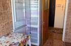 Apartament cu vedere panoramica catre Parcul Plumbuita- Colentina. - 22