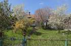 Vand casa la tara, cu baie si bucatarie, gradina si curte, sat Lacu/Feketelak - 2