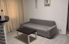 Apartament 2 camere Auchan Vitan 350euro - 5