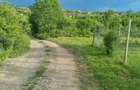 Teren intravilan Daia Noua - 5