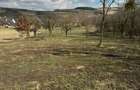 Teren de vanzare Sat Corusu, comuna Baciu 3484mp - 7