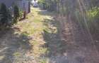 Casa sat Poiana, comuna Nicoresti, Galati - 16