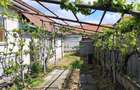 Casa 3 camere, curte , pivnita , pod , Blaj-Tudor Vladimirescu - 10