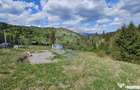 Teren 4048mp Campulung Moldovenesc, Strada Izvorul Alb, S... - 2
