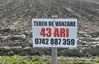 Teren De Vanzare -43 ari,Arcalia B-N - 2