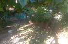casa in comuna Ulmeni - 5