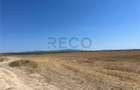 RECO Teren extravilan Ucuris- Olcea 44 000 mp - 4