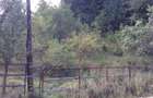 Teren de vinzare in Cheia(Olanesti) - 1
