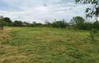 Vand teren intravilan 1796 mp, deschidere 30 m, utilita?i complete -Piatra-Olt - 4