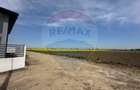 Teren 545,000mp Dragomiresti-Vale