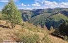 Vand doua parcele de teren in suprafa?a de 3000 ?i 4700 mp - 5