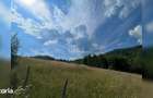 Teren cu poten?ial turistic, cadru natural rar, 20.000 mp Sacuieu - 8