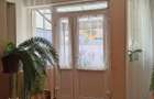 Casa la tara in Sacadat, Bihor, teren 2826 mp, acces auto - Vanzare - 12