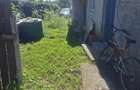 Casa de vanzare cu livada, fanta, 98 mp, Str. Principala - Coada Malul - 7