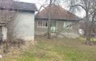 Casa cu 2 camere, teren 3000 mp, padure - 2