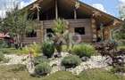 PROPRIETATE PREMIUM | TRANSFAGARA?AN | ACCES DIRECT LA RAUL ARGE? - 2