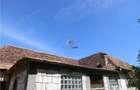 Casa traditionala Bruiu Somartin judet Sibiu - Bruiu (Sibiu) - 5